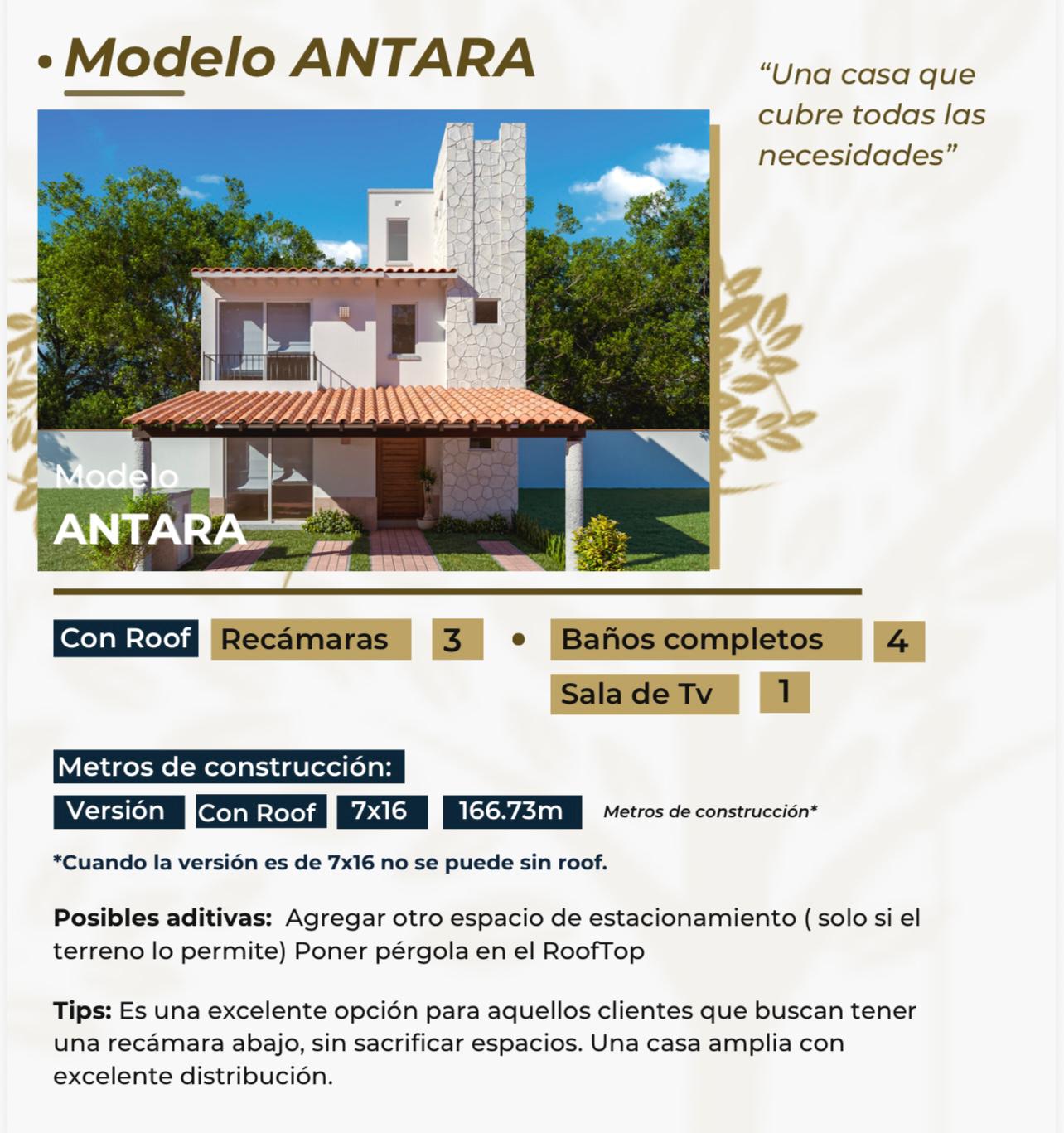Modelo Antara